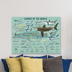 Sharks of The World by Daviz Canvas Art