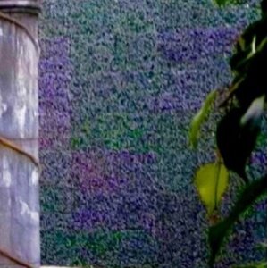 Artificial Lavender Wall Du00e9cor (Set of 4)