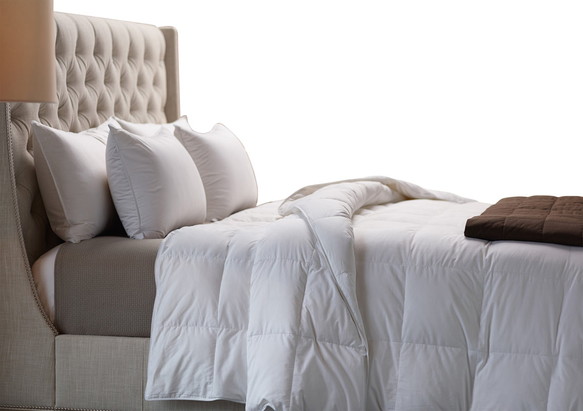 Down Inc. Some Like It Cool Lightweight Down Duvet Insert & Reviews