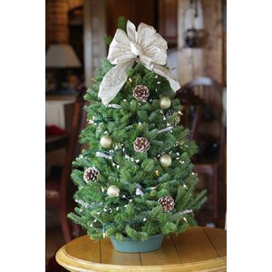 Winter Elegance Tabletop Tree