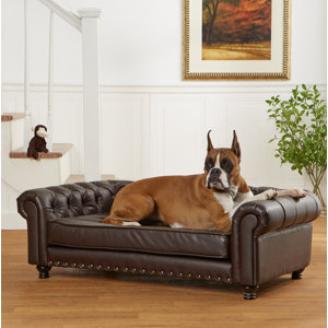 Lora Dog Sofa with Solid Foam Cushion