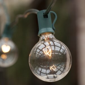 50-Light Globe String Lights