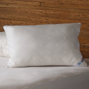 Posturepedic Maximum Protection Pillow..