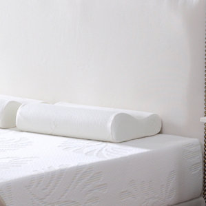 Contour Botanic Origin Memory Foam Queen Pillow by Alwyn Home
