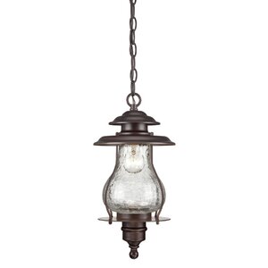 Kentwood 1-Light Outdoor Hanging Lantern