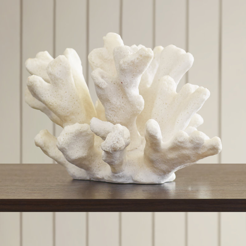 Beachcrest Home Auburndale Coral Decor Sculpture & Reviews Wayfair
