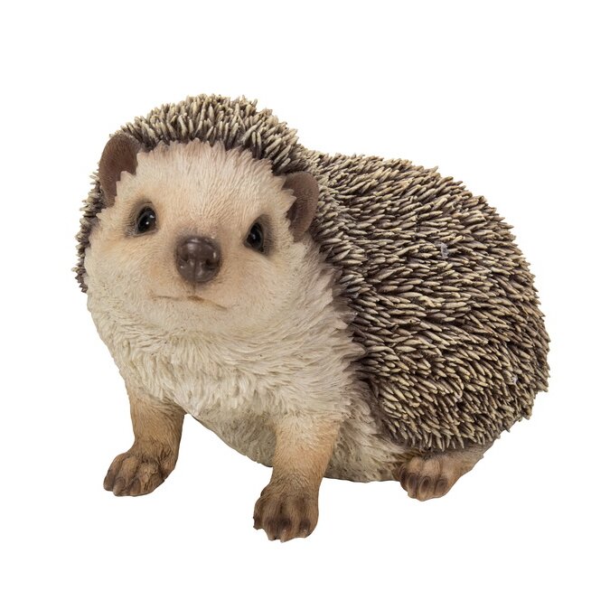 Hi-Line Gift Ltd. Crawling Hedgehog Statue & Reviews | Wayfair