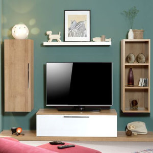 TV-Lowboard-Set von Hokku Designs