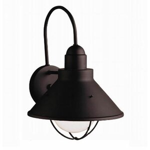 Castro 1-Light Outdoor Barn Light