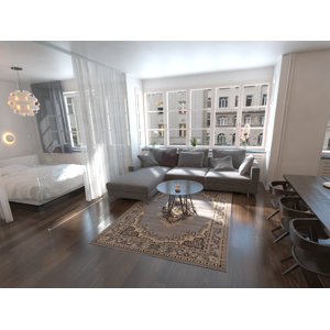 Charlie Gray Area Rug