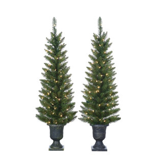 Pre Lit Palm Tree 4 Green Cedar Pine Artificial Christmas With 100 Clear White Lights Pot And Stand Set Of 2 Pre Lit Palm Tree 4 Green Cedar Pine Artificial Christmas With 100 Clear White Lights Pot And Stand Set Of 2