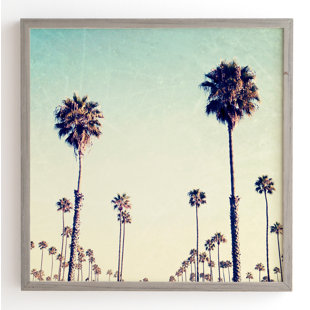 Framed Palm Tree Pictures Wayfair Quickview
