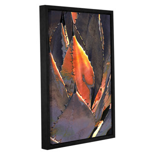 36 x 36 ArtWall 4 Piece Linda Parkers Desert Agave Gallery Wrapped Canvas Square Set