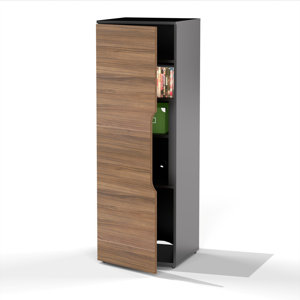 Darla 1 Door Storage Accent Cabinet
