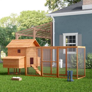 Chicken Coop Kits Wayfair