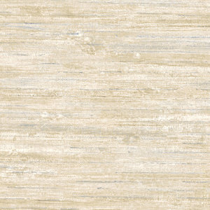 Textures IV 32.7' x 20.5