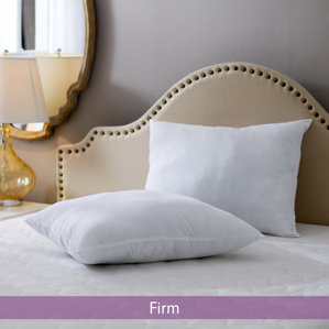 Wayfair Basics Firm Pillow (Set of 2) by Wayfair Basics?