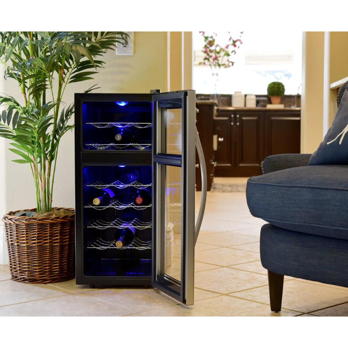 Avalon Bay 21 Bottle Dual Zone Freestanding Wine Cooler & Reviews Wayfair