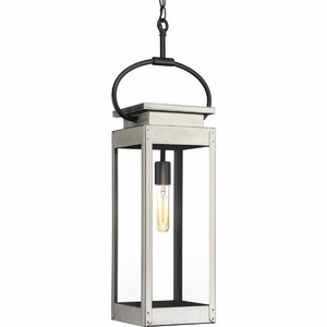 Jimena 1-Light Outdoor Hanging Lantern