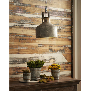 Galvanized Light Fixtures Wayfair Alexandrea Galvanized 1 Light Bell Pendant