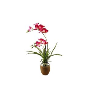 Pink/White Orchids in Ceramic Planter