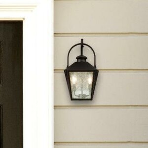 Ibarra 2-Light Outdoor Wall Lantern