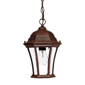 Francesca Lane 1-Light Outdoor Hanging Lantern