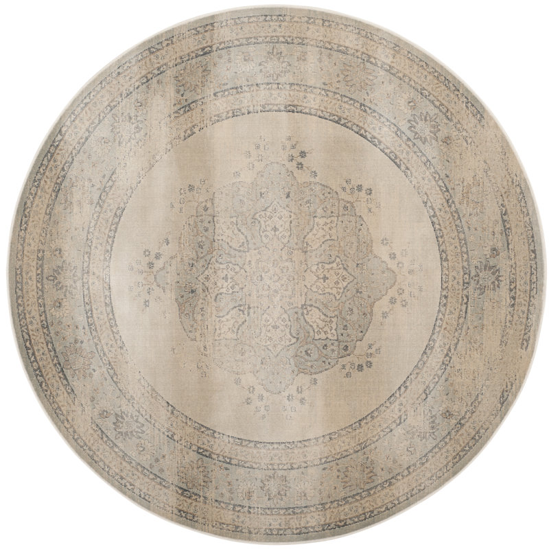 Charlton Home Frith Light Blue / Cream Area Rug & Reviews Wayfair