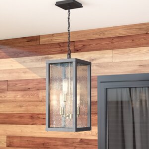 Anguiano 4-Light Outdoor Pendant