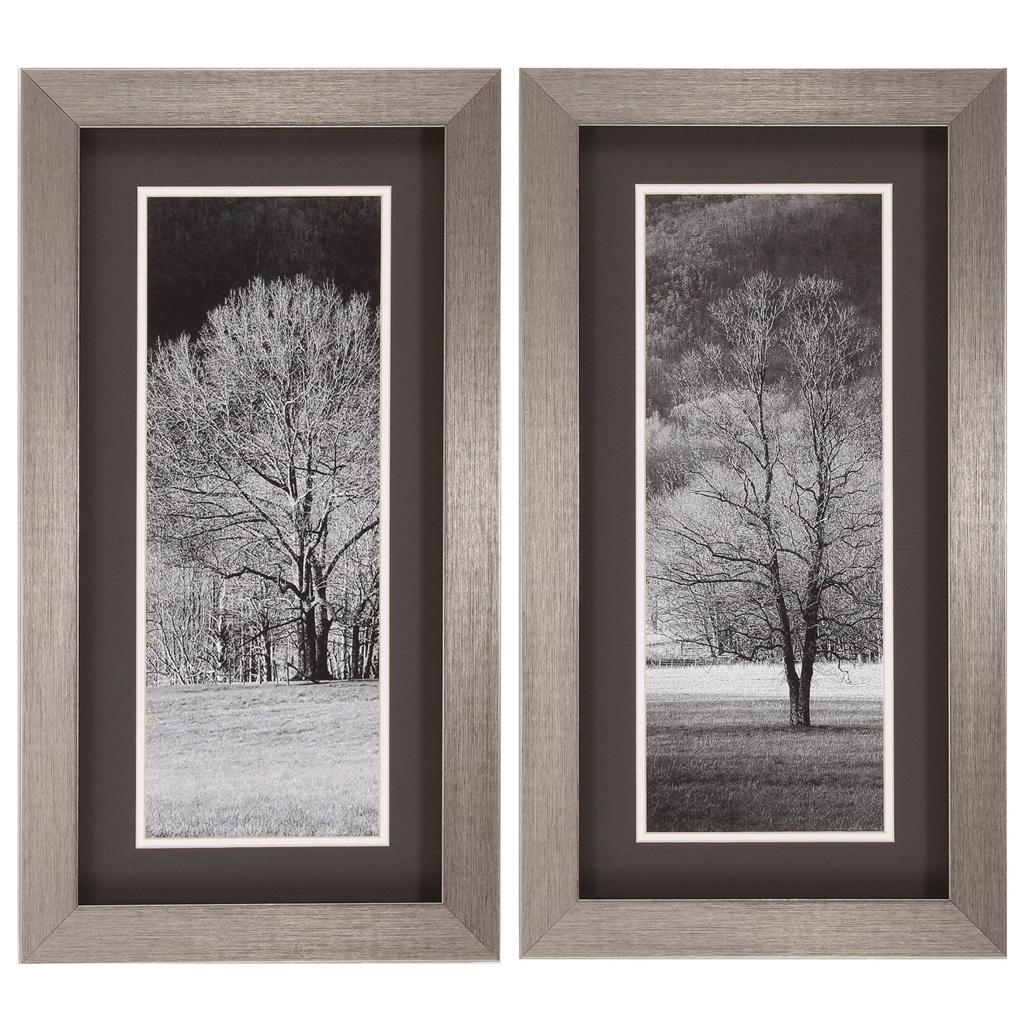 Three Posts Black And White Trees 2 Piece Framed Photographic Print Three Posts Black And White Trees 2 Piece Framed Photographic Print Set Reviews Wayfair