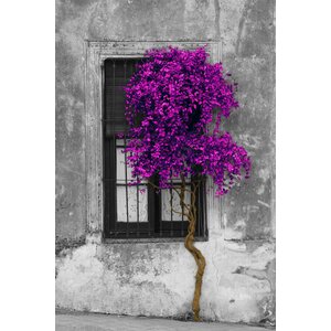 'Tree in Front of Window' Graphic Art Print