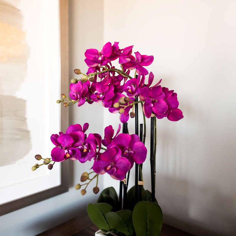 Mercer41 Artificial Orchid Flowers in Vase & Reviews Wayfair.ca