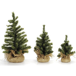 mini canadian green pine artificial christmas tree with burlap base 32 tips - Mini Real Christmas Tree mini canadian green pine artificial christmas tree with burlap base 32 tips - Mini Real Christmas Tree