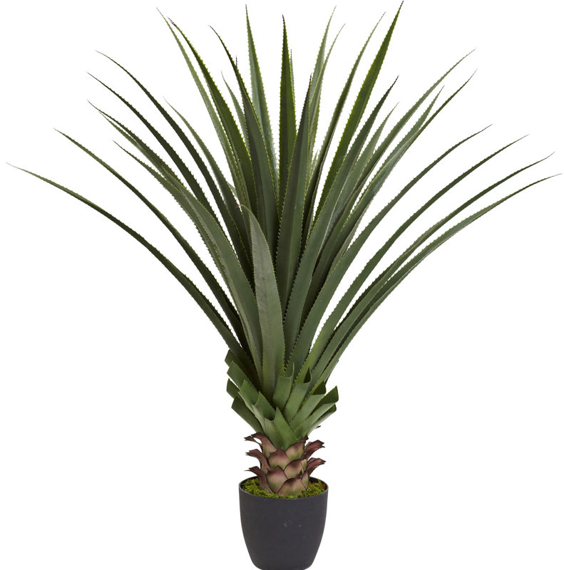 Nearly Natural Spiked Agave Floor Plant in Pot & Reviews Wayfair