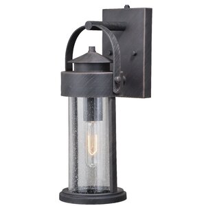 Colwyn 1-Light Outdoor Wall Lantern