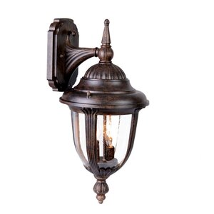 Monterey 1-Light Outdoor Wall Lantern