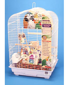 Medium Scalloped Top Bird Starter Kit