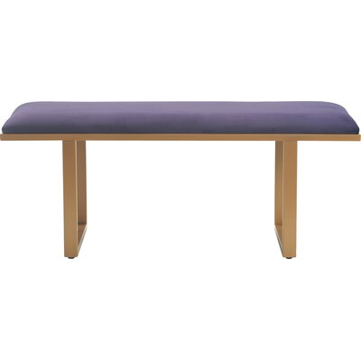 Elle Decor Remi Velvet Upholstered Bench  Upholstery: Violet Purple