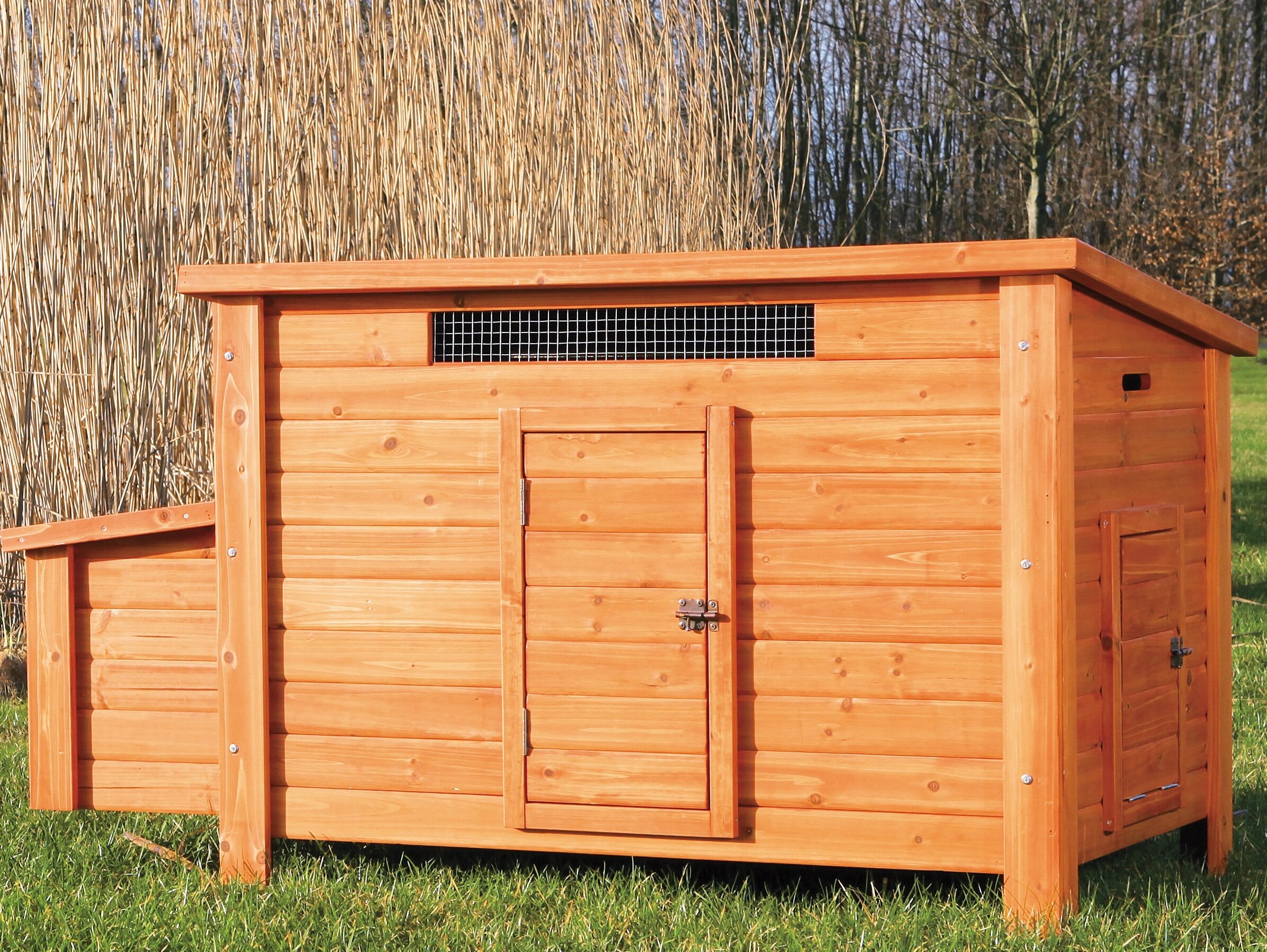 Freddy Chicken Coop With Nesting Box