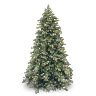 Colorado 75 Green White Spruce Trees Artificial Christmas Tree With 750 Incandescent Clear Lights Stand Colorado 75 Green White Spruce Trees Artificial Christmas Tree With 750 Incandescent Clear Lights Stand