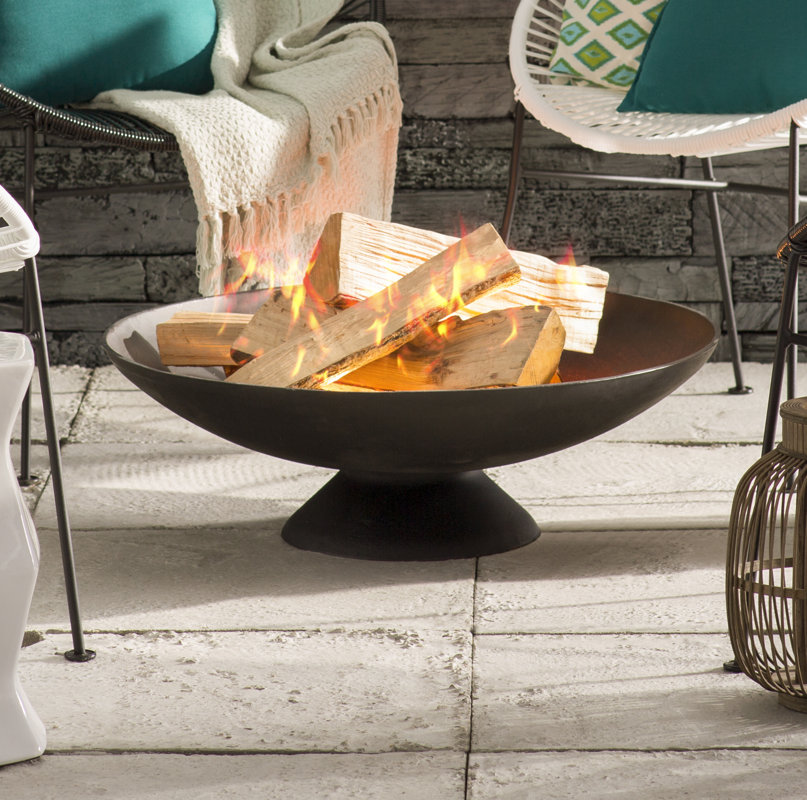 Cast Iron Wood Burning Fire Pit & Reviews AllModern
