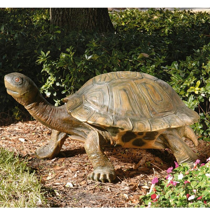 Design Toscano The Tranquil Tortoise Statue & Reviews | Wayfair