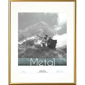 Metal Matted Photo Picture Frame