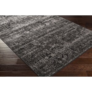 Kulpmont Oriental Black/Light Gray Area Rug