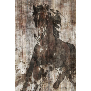 Galloping Horse Graphic Art on Wrapped Canvas