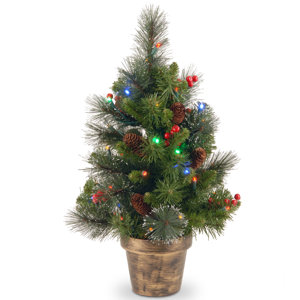 Spruce Small 2' Green Artificial Christmas Tree with 35 Multicolored Lights with LED