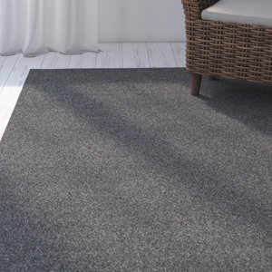 Dunbar Charcoal Indoor/Outdoor Area Rug