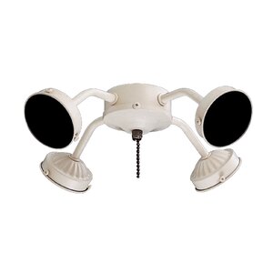 Buy 4-Light Universal Branched Ceiling Fan Light Kit!