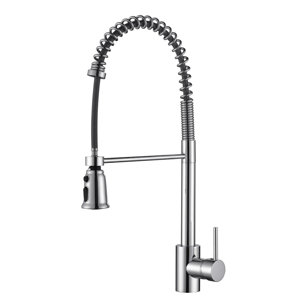 Cascada Single Handle Pull-Down Kitchen Faucet