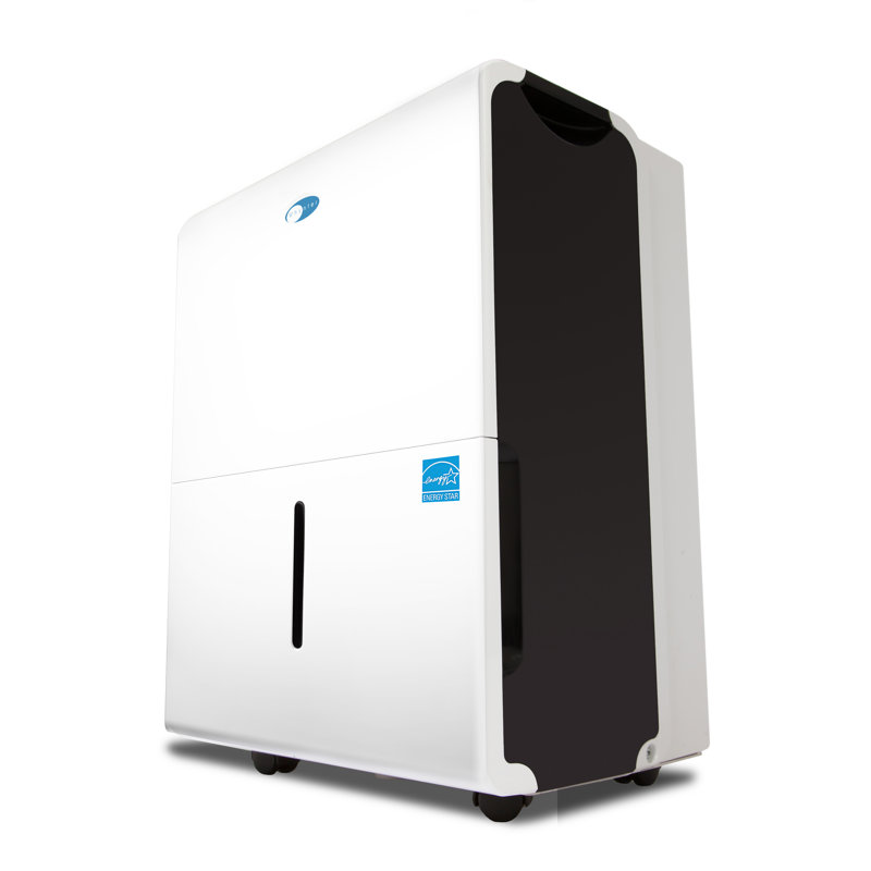 Whynter Elite D-Series 30 Pint Portable Dehumidifier with Casters